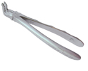 Dr.Comella's 3rd Molar Extraction Forceps